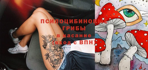 хмурый Сатка