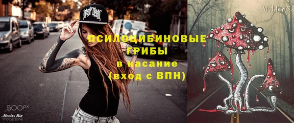 соль курить ск Рославль