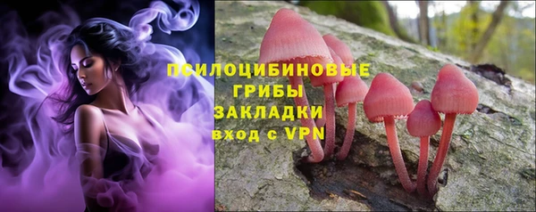 spice Абаза