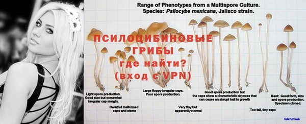 хмурый Сафоново