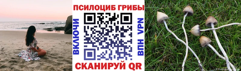 Галлюциногенные грибы MAGIC MUSHROOMS  Гагарин 